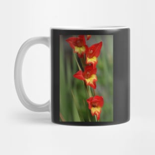 Gladioli Mug